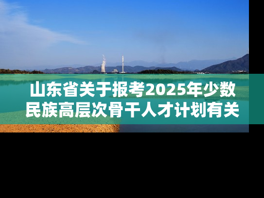 山东省关于报考2025年少数民族高层次骨干人才计划有关事项的说明
